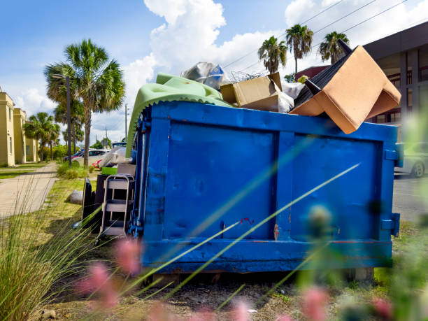 Best Office Junk Removal  in Edwards, CO